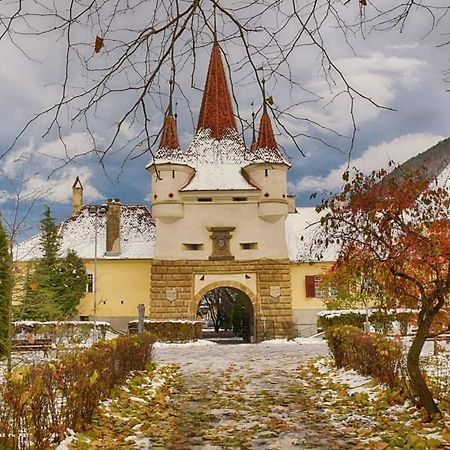 Avantgarden Brasov, Perfect Home - 1 Room Apartment Exteriör bild