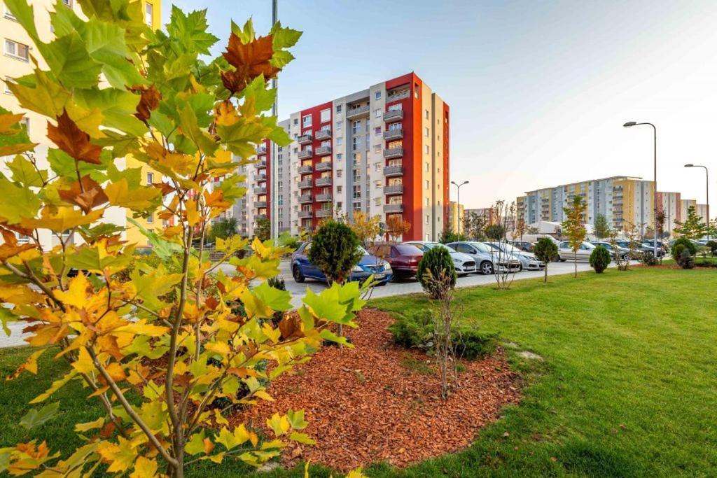 Avantgarden Brasov, Perfect Home - 1 Room Apartment Exteriör bild