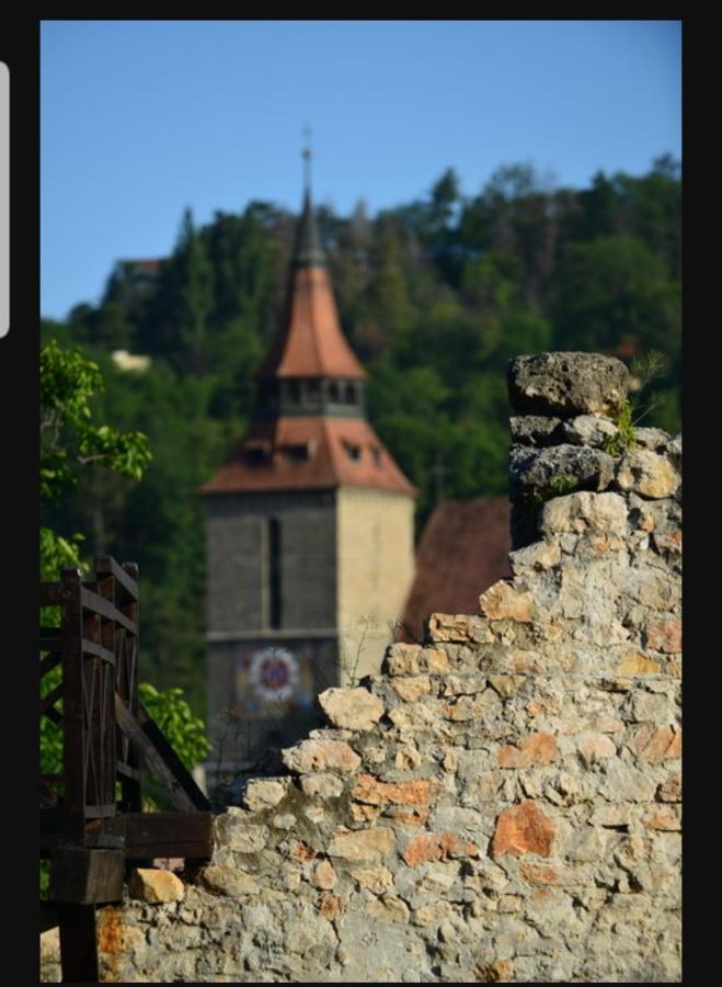 Avantgarden Brasov, Perfect Home - 1 Room Apartment Exteriör bild