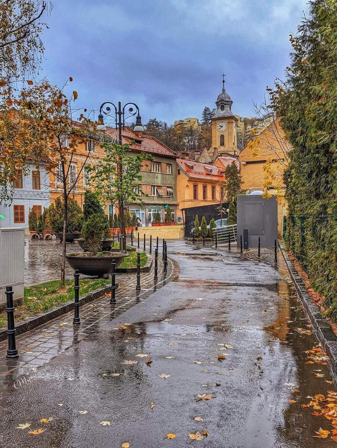 Avantgarden Brasov, Perfect Home - 1 Room Apartment Exteriör bild